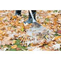 Pro Fan Rake, 24" Blade, 22 Tines, Hardwood Handle, Steel Blade D. Morneault & Fils