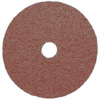 Resin Fibre Sanding Disc, Aluminum Oxide, A16, 5" Dia x 7/8" Arbor D. Morneault & Fils