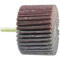 Shaft Mounted Flapwheel, 60 Grit, 1-1/2" x 1/4" D. Morneault & Fils