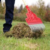 Multi-Purpose Lawn Rake, 20" Blade, 20 Tines, Hardwood Handle, Steel Blade D. Morneault & Fils