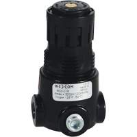 Wilkerson Miniature Regulator R03, 1/8" NPT, 300 psi Max. PSI, Standard D. Morneault & Fils