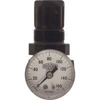 Series 1 Miniature Regulator, 1/8" NPT, 100 psi Max. PSI, Standard D. Morneault & Fils