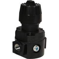 Wilkerson Compact Regulator R16, 1/4" NPT, 300 psi Max. PSI, Standard D. Morneault & Fils