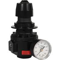 Wilkerson Regulator R26, 1/2" NPT, 300 psi Max. PSI, Standard D. Morneault & Fils