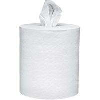 Scott&reg; Essential Paper Towels, 2 Ply, Centre Pull, 625' L D. Morneault & Fils