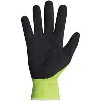 Dexterity&reg; Coated Gloves, 10, Latex Coating, 13 Gauge, Polyester Shell D. Morneault & Fils