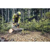 Flexvolt&reg; Cordless Chainsaw, 16", Battery Powered, 60 V D. Morneault & Fils