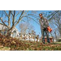 3-in-1 VacPack Leaf Blower/Vacuum/Mulcher, 250 MPH Output, Electric D. Morneault & Fils