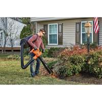 3-in-1 VacPack Leaf Blower/Vacuum/Mulcher, 250 MPH Output, Electric D. Morneault & Fils