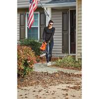 3-in-1 VacPack Leaf Blower/Vacuum/Mulcher, 250 MPH Output, Electric D. Morneault & Fils