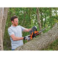 Max* Cordless Chainsaw Kit, 10", Battery Powered, 20 V D. Morneault & Fils