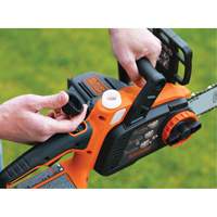 Max* Cordless Chainsaw Kit, 10", Battery Powered, 20 V D. Morneault & Fils