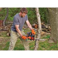 Max* Cordless Chainsaw Kit, 12", Battery Powered, 40 V D. Morneault & Fils