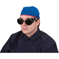 Lunettes &agrave; coque, Lentille 5,0, Anti-&eacute;gratignures, Ventilation Ferm&eacute; D. Morneault & Fils