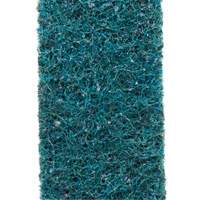 Courroie de conditionnement de surface Scotch-Brite D. Morneault & Fils