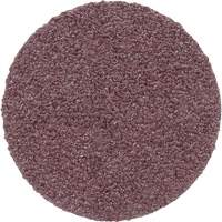 PSA Cloth Disc 348D, 20" Dia., 60 Grit, Aluminum Oxide D. Morneault & Fils