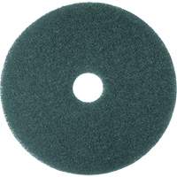 Cleaner Pad, 13", Scrubbing, Blue D. Morneault & Fils