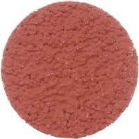 Cubitron II Roloc Durable Edge Disc, 2" Dia., 36+ Grit, Ceramic D. Morneault & Fils