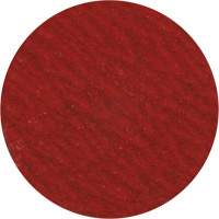 Disque de ponçage 3" &agrave; support verrouillable, 3" dia., Grain 36, C&eacute;ramique D. Morneault & Fils