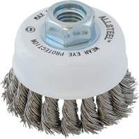 AllSteel Wire Brush, 3" Dia. x 5/8"-11 Arbor D. Morneault & Fils