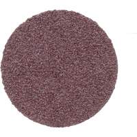 Disque de conditionnement de surface, 1" dia., Grain P100, Oxyde d'aluminium D. Morneault & Fils