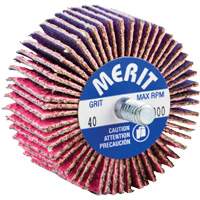 Threaded Mini Flap Wheel, Ceramic Alumina, 40 Grit, 2" x 1" x 1/4"-20 D. Morneault & Fils