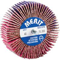 Threaded Mini Flap Wheel, Ceramic Alumina, 40 Grit, 3" x 1" x 1/4"-20 D. Morneault & Fils