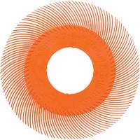 Brosse radiale en soies de pr&eacute;cision type C PN-RB sans adaptateur Scotch-Brite , C&eacute;ramique, Grain 80+, 6" dia. D. Morneault & Fils