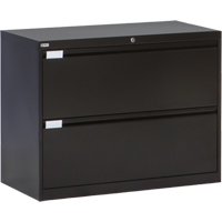 Lateral Filing Cabinet, Steel, 2 Drawers, 36" W x 18" D x 27-7/8" H, Black D. Morneault & Fils
