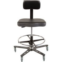 TF160 Industrial Grade Ergonomic Chair, Mobile, Adjustable, 20-1/2" - 28-1/2", Vinyl Seat, Black/Grey D. Morneault & Fils