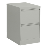 Classeur vertical, Acier, 2 tiroirs, 18-1/7" la x 25" p x 29" h, Gris D. Morneault & Fils