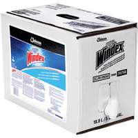 Windex&reg; Glass Cleaner with Ammonia-D&reg;, 5 gal., Bag D. Morneault & Fils