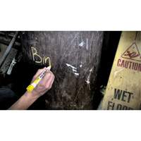 Quik Stik&reg; Twist-Up Paint Markers, Solid Stick, White D. Morneault & Fils