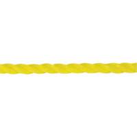1/4" Braided Yellow Rope, Polypropylene, 1300' D. Morneault & Fils