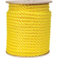 Braided Yellow Rope, Polypropylene, 300' D. Morneault & Fils