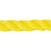 Braided Yellow Rope, Polypropylene, 144' D. Morneault & Fils