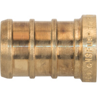 Lead-Free Pipe Plug, Pipe, 1/2" Dia., Brass D. Morneault & Fils