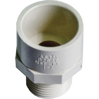 Male Reducing Adapter, Hub x MPT, 1/2" x 3/4" Dia., CPVC D. Morneault & Fils
