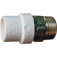 Threaded Pipe Adapter, Hub x MPT, 1" Dia., Brass/CPVC D. Morneault & Fils