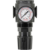 Regulator with Gauge Modulair 300, 1/4" NPT, 300 psi Max. PSI, In Line/Modular D. Morneault & Fils