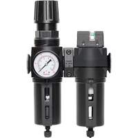 Filtre/r&eacute;gulateur + filtre coalescent drain manuel avec bol standard Modulair 300, 1/4" NPT, 150 psi, Capacit&eacute; de 5,1 oz liq. D. Morneault & Fils