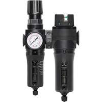 Filtre/r&eacute;gulateur + filtre coalescent drain manuel avec bol en m&eacute;tal Modulair 300, 1/4" NPT, 250 PSI, Capacit&eacute; de 5,1 oz liq. D. Morneault & Fils