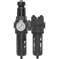 Filtre/d&eacute;tendeur & filtre coalescent Modulair 400 avec bol standard & drain manuel, 3/4" NPTF, 150 psi, Capacit&eacute; de 9,13 oz liq. D. Morneault & Fils