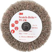Brosse &agrave; lamelles pour labrasion et le polissage PF-ZR Roloc Scotch-Brite, Oxyde d'aluminium, Grain Moyen, 2-1/2" x 1-1/4" D. Morneault & Fils