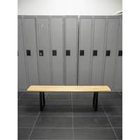 Locker Room Bench, Wood, 48" L x 9-1/4" W x 16-1/2" H D. Morneault & Fils