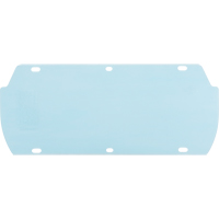 Facetec Polycarbonate Visor, Polycarbonate, Clear Tint D. Morneault & Fils
