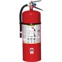 Fire Extinguisher, ABC, 20 lbs. Capacity D. Morneault & Fils