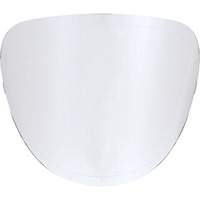 Replacement Lenses D. Morneault & Fils