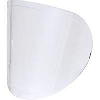 Replacement Lenses D. Morneault & Fils