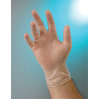 Examination Grade Gloves, Small, Vinyl, 4-mil, Powder-Free, Clear, Class 2 D. Morneault & Fils